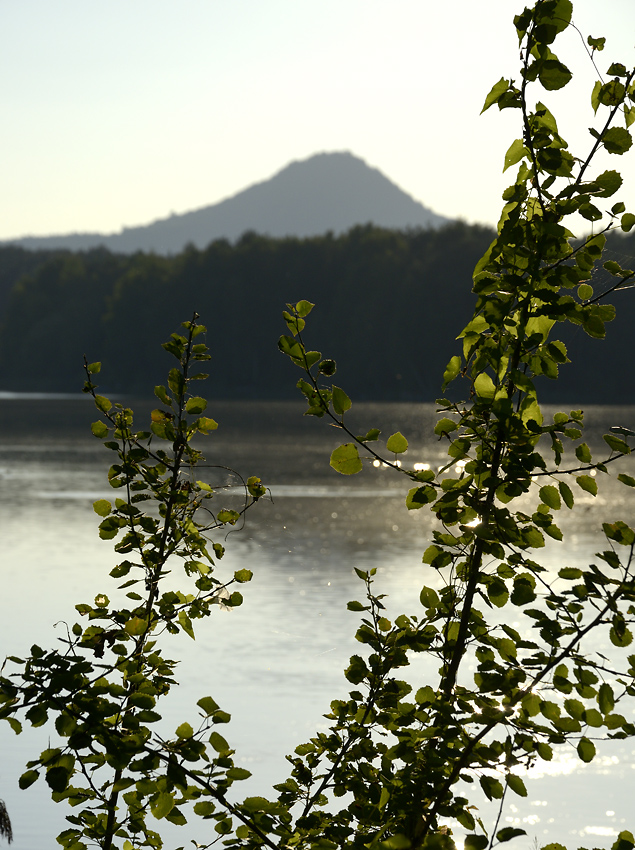 Early evening at the pond - larger format