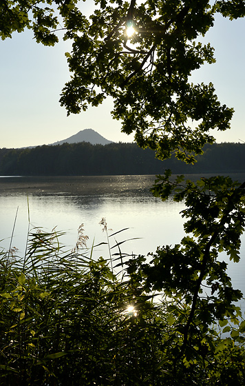 Early evening at the pond - smaller format