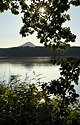 Early evening at the pond - main link