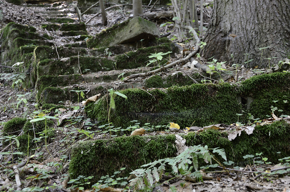 Stairs - larger format