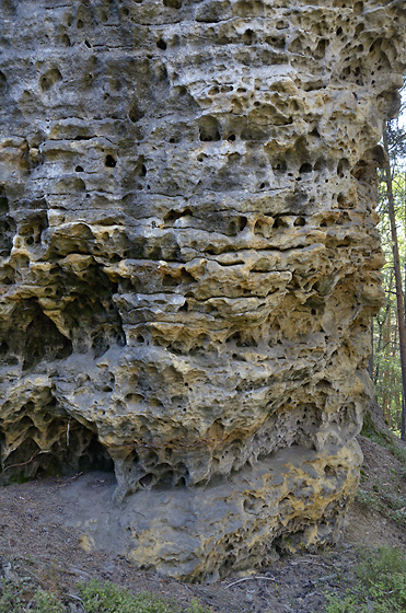 Rock full of holes - smaller format