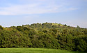 "Male Hill" - main link