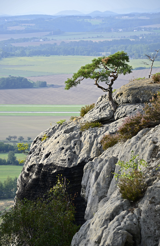 On the rock - larger format