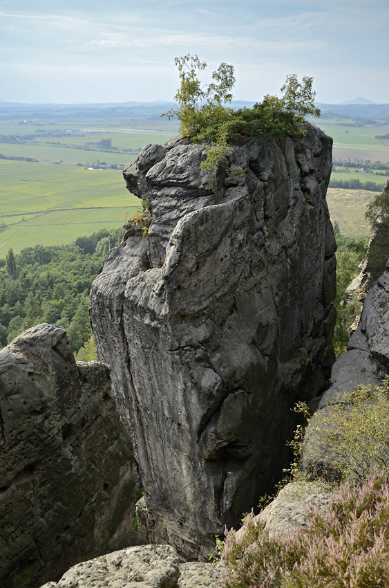 On the rock - larger format