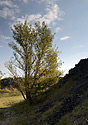 Na Chlumu - hlavn odkaz