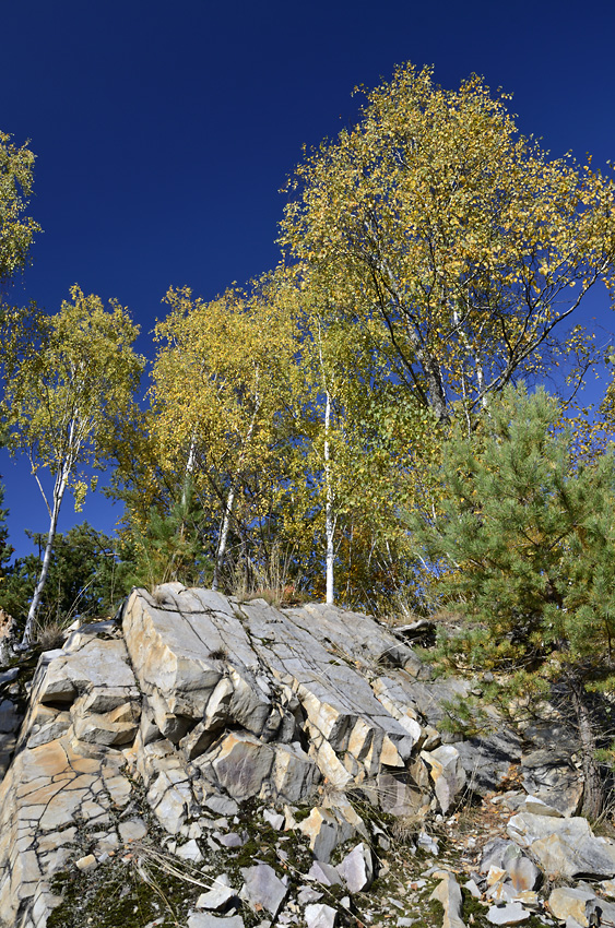 In an old quarry - larger format