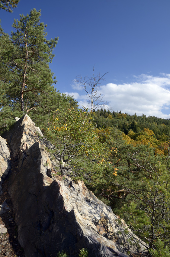 In an old quarry - larger format