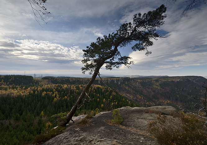 Na skle - men formt