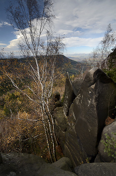 Na skle - men formt