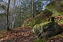 From below - main link