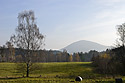 The "Badger Hill" - main link