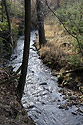 The "Iron Mill Creek" - main link