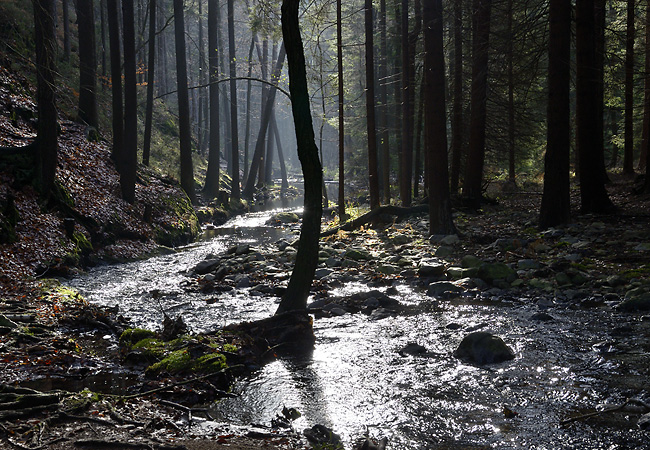 The "Iron Mill Creek" - smaller format