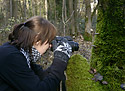 View into the moss - main link