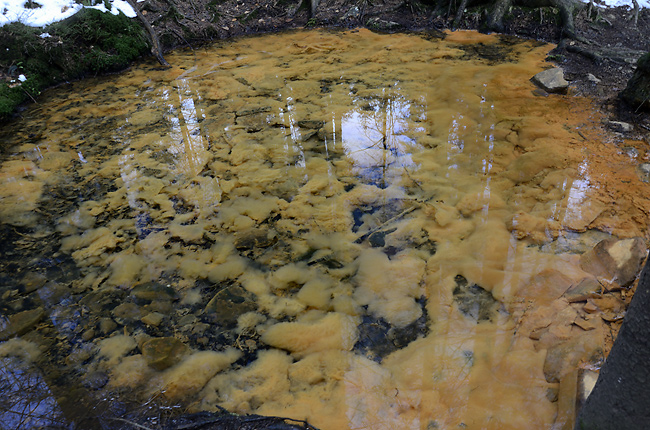 Sulphurous spring - smaller format