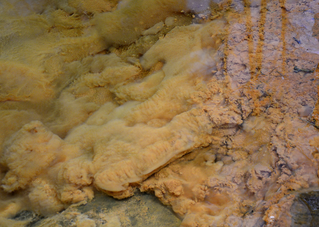 Sulphurous spring - smaller format