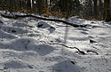 Winter scene - main link