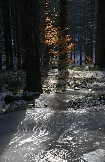 Ice lines - smaller format