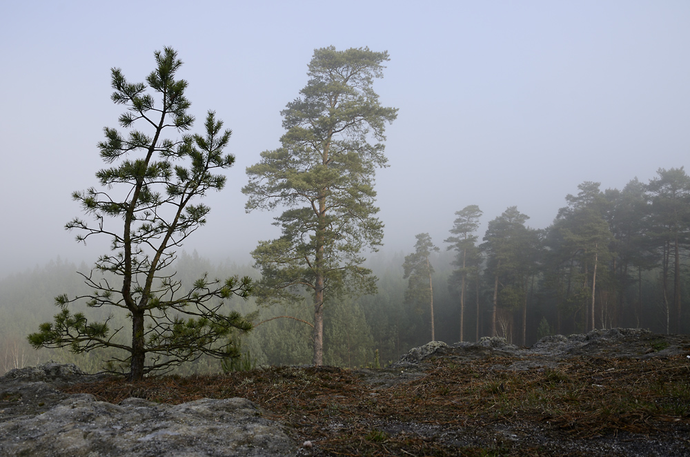 Rno v Kukakch - vt formt