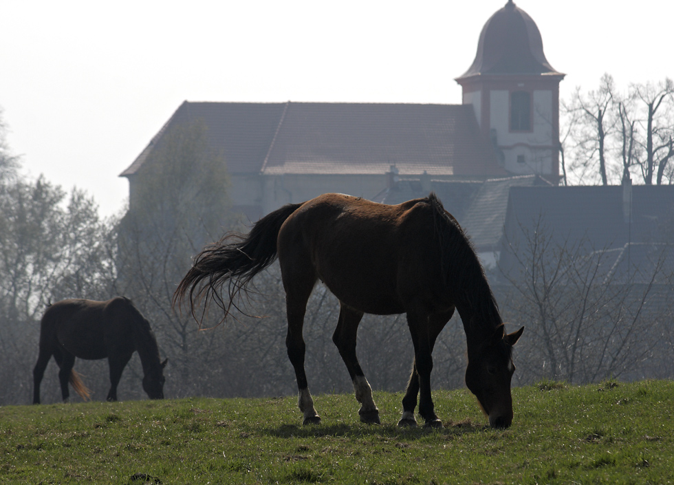 Idyll at "Boejov" - larger format