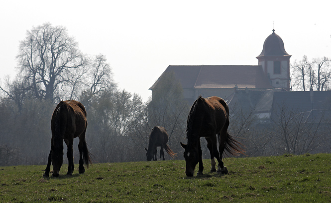 Idyll at "Boejov" - smaller format