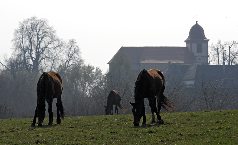 Idyll at "Boejov" - larger format