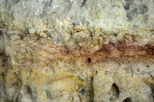 Bioturbace - men formt