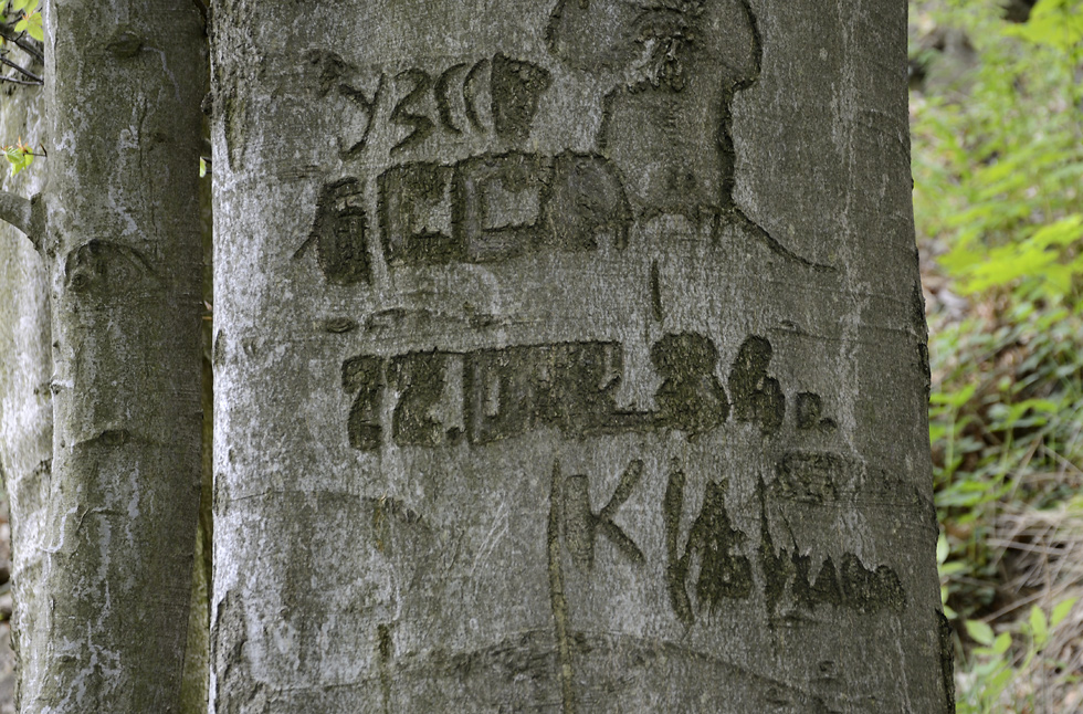 Signature - larger format
