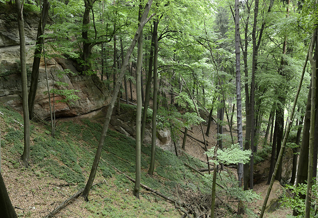 Gorge - smaller format