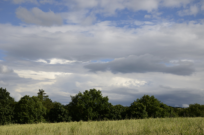 Near "Tebotov" - smaller format