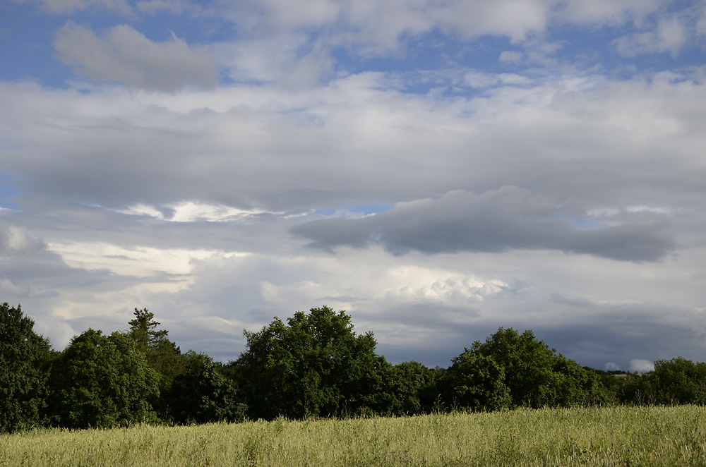 Near "Tebotov" - larger format