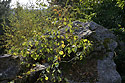 Na vrcholu - hlavn odkaz