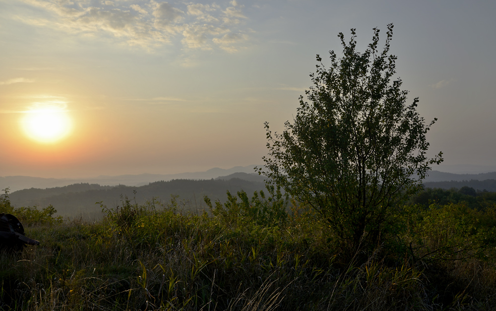 Morning scene - larger format