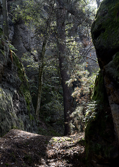 Ve skalch - men formt