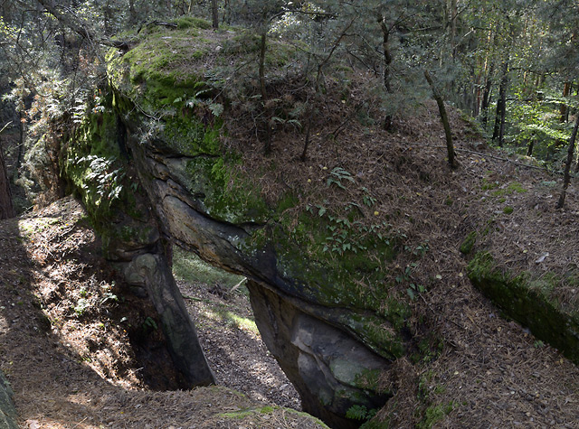 The gate from above - smaller format