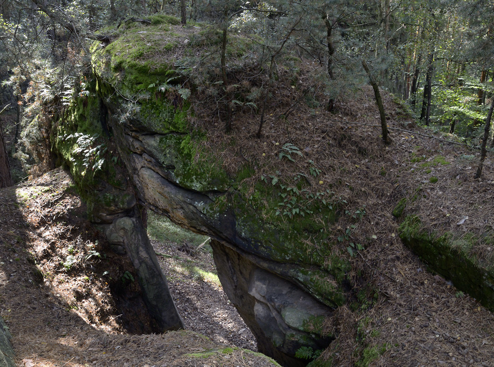 The gate from above - larger format