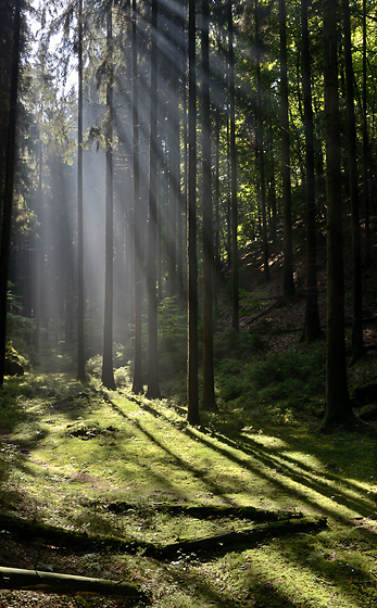Mist - smaller format