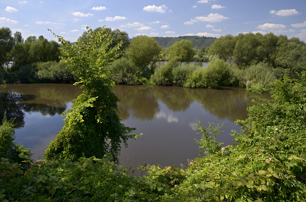 Modansk laguna - vt formt