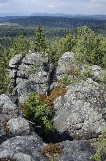 Na skalch - men formt