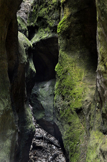 Crevice - smaller format