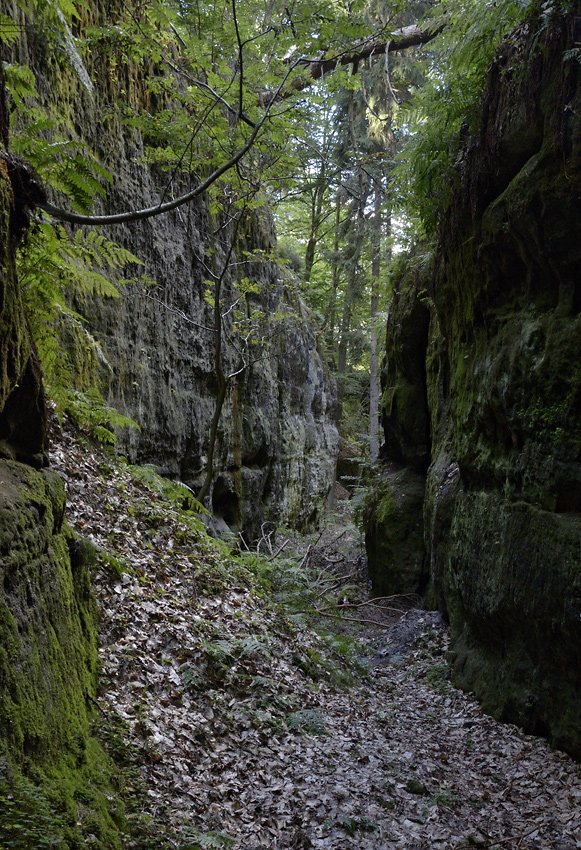 Path in rocks - larger format