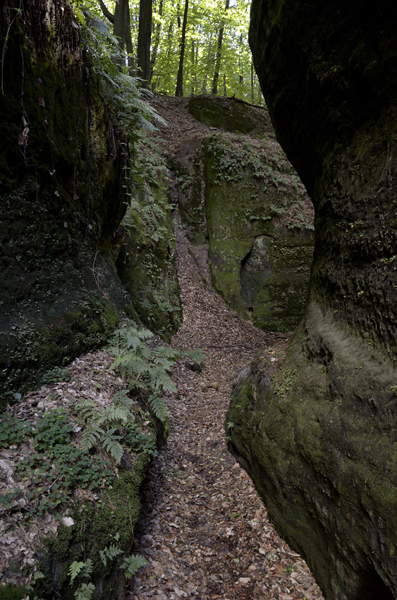 Path in rocks - larger format