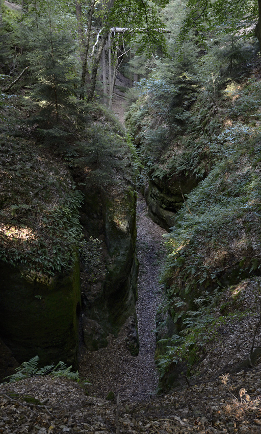 Path in rocks - larger format