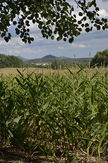 View to "Bertejn" - smaller format