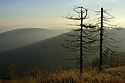 Rann svtlo - hlavn odkaz