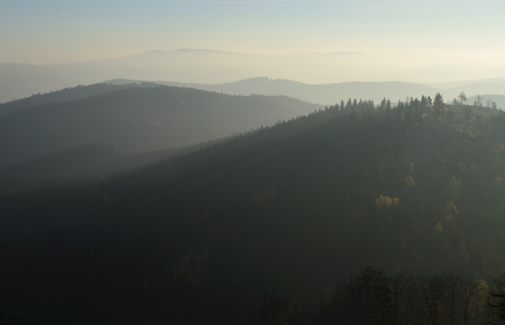 Morning light - larger format