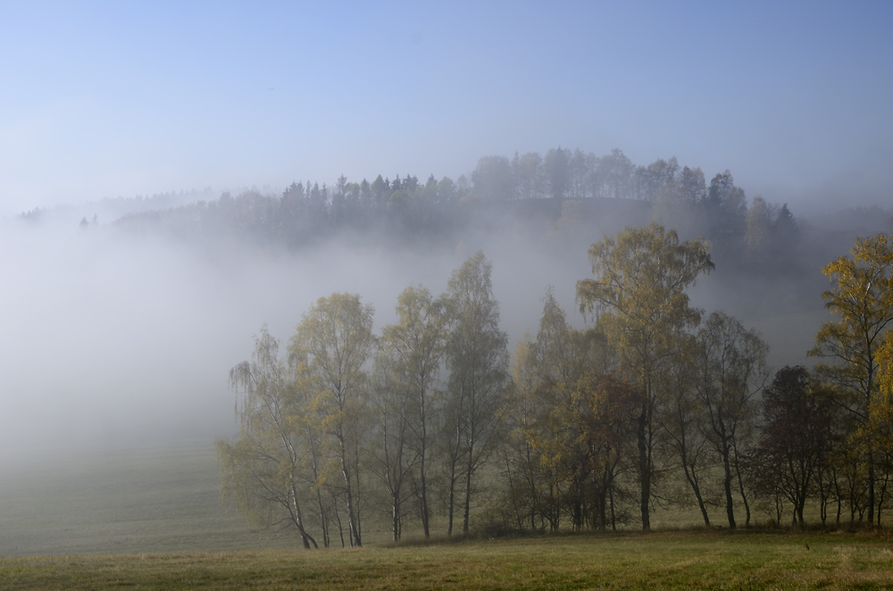 In fog - larger format