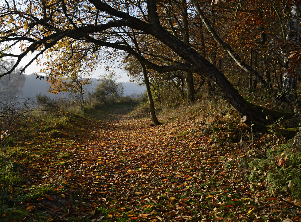 On the "Old Goose Path" - larger format