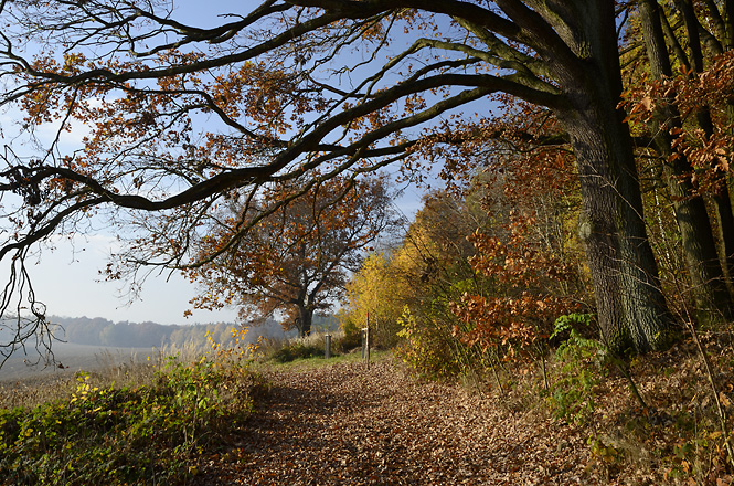 On the "Old Goose Path" - smaller format