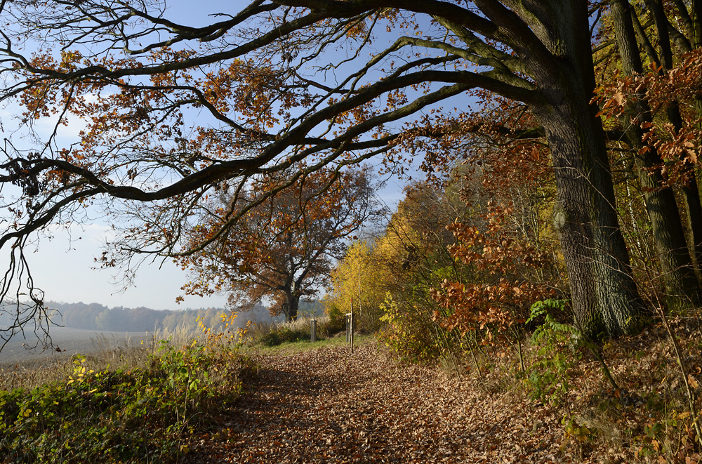 On the "Old Goose Path" - larger format